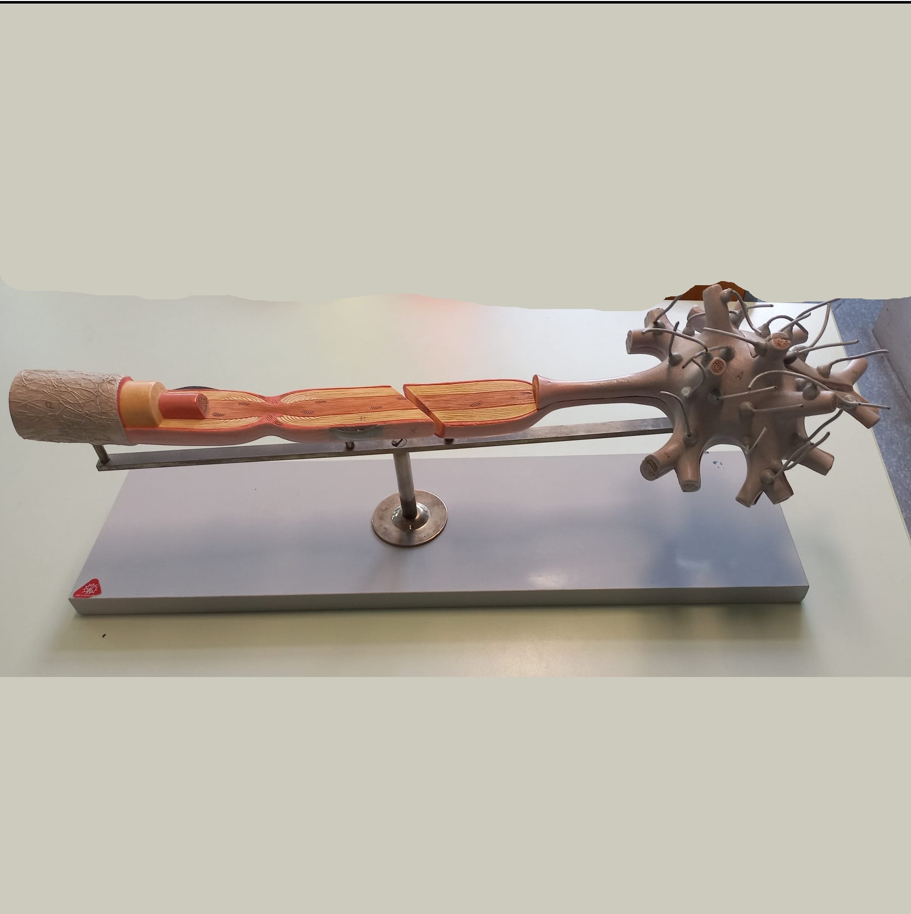 3D Plastik-Modell
